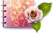 Catalog, Lovely icon