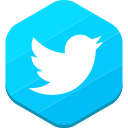 social network, twitter icon