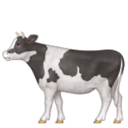 cow icon