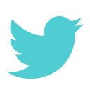bird, animal, social, twitter, media icon