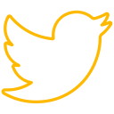 media, network, tweet, twitter, social, connection, bird icon