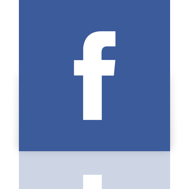 facebook, alt, mirror icon