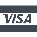 visa card, price, credit, banking, shopping, financial, visa, order, money, payment, currency icon