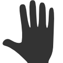 hand, whole icon