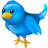 tweet, logo, social, social media, twitter, bird icon