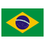 parts, brazil icon