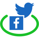 facebook, connection, twitter, network, social, public, communication icon