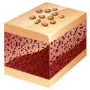 nuts cake icon