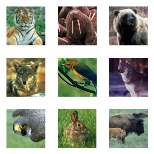 US Fish And Wildlife Service icon sets preview