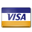 Payment, Visa icon