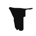 Namibia black country map shape icon