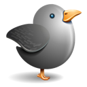 Bird, Gray, Grey, Twitter icon