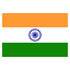 India flat icon