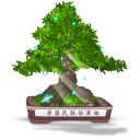 final, bonsai icon