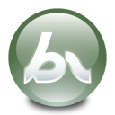 Macromedia Breeze icon