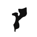 Mozambique country map black shape icon