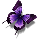 Other Butterfly icon