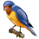 swallow, animal, twitter, bird icon