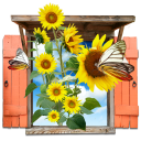 Flowers Sunflowers Window icon