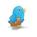 twitter, bird icon