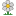 flower,daisy,plant icon