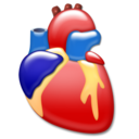 heart, cardiology, organ icon