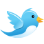 social, connect, twitter, network, twit, bird, tweet icon