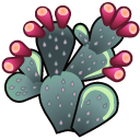 cactus,prickly,pear icon