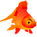 fish,animal icon