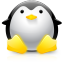 penguin, tux icon