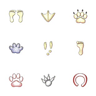 Animal Tracks icon sets preview