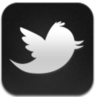 twitter icon