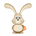 Bunny, Easter, Rss icon