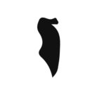 Bahrain country map black shape icon