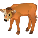 calf icon