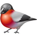 bullfinch,animal,bird icon