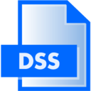 dss,file,extension icon