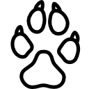 dog, footprint icon