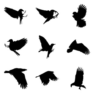 Bird Silhouettes icon sets preview
