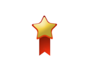 medal icon