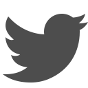flying, media, tweet, social, twitter, bird icon