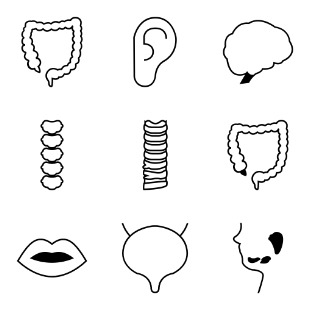 Organs icon sets preview