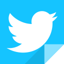 social media, communication, social network, twitter, twit, twitter logo icon
