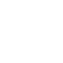inv, save icon