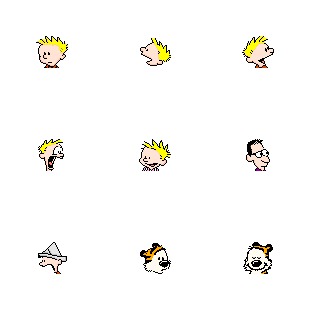 Calvin icon sets preview