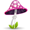 Mushroom, Pink icon
