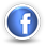 digitaldelight, mini, facebook icon