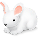 Bunny, Easter, Eggs, Rabbit icon