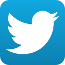 twitter, twitter button, twitter bird button icon