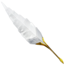 plume,old,school icon